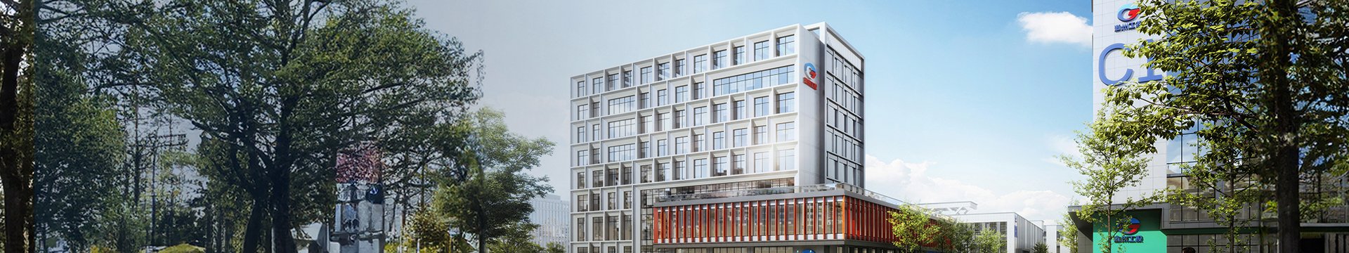 开运体育app官网最新版下载主席